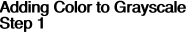 Adding Color to Grayscale