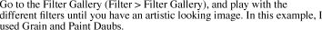 Go to the Filter Gallery