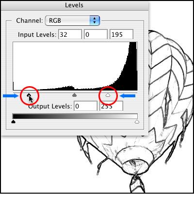 Step03